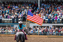 Rodeo